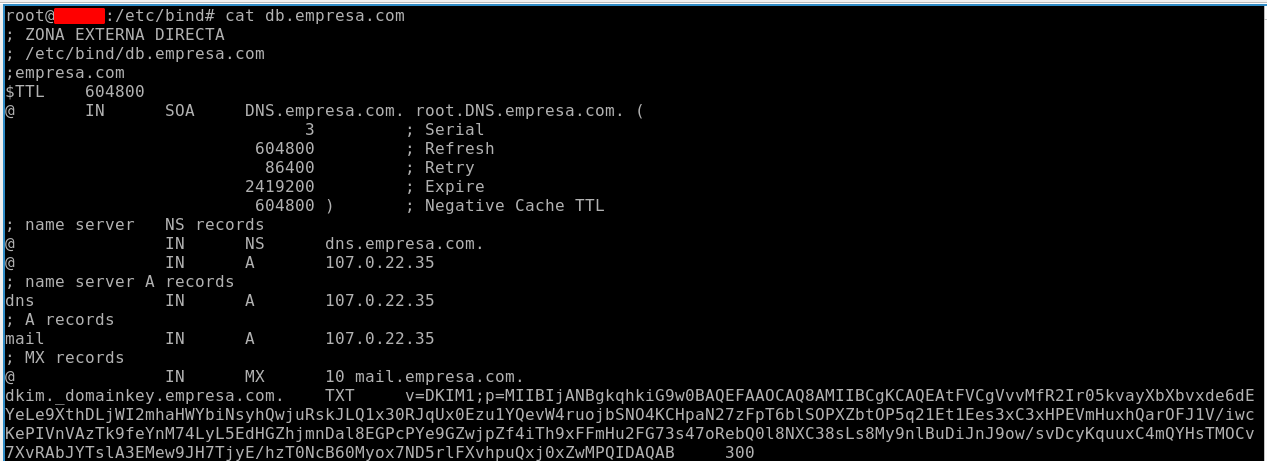 Muestra DNS con DKIM